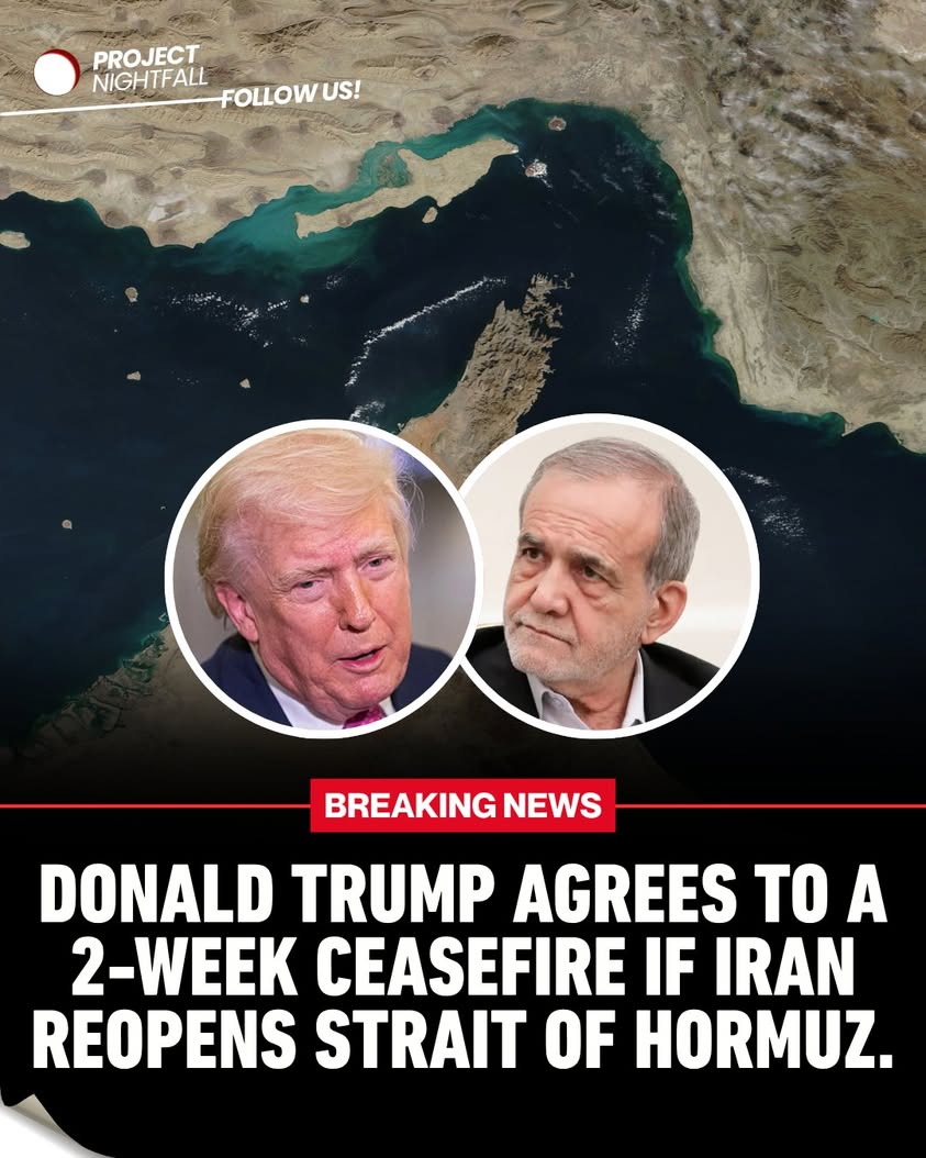 Trump pulls world from brink: 14-day countdown to peace or devastation!