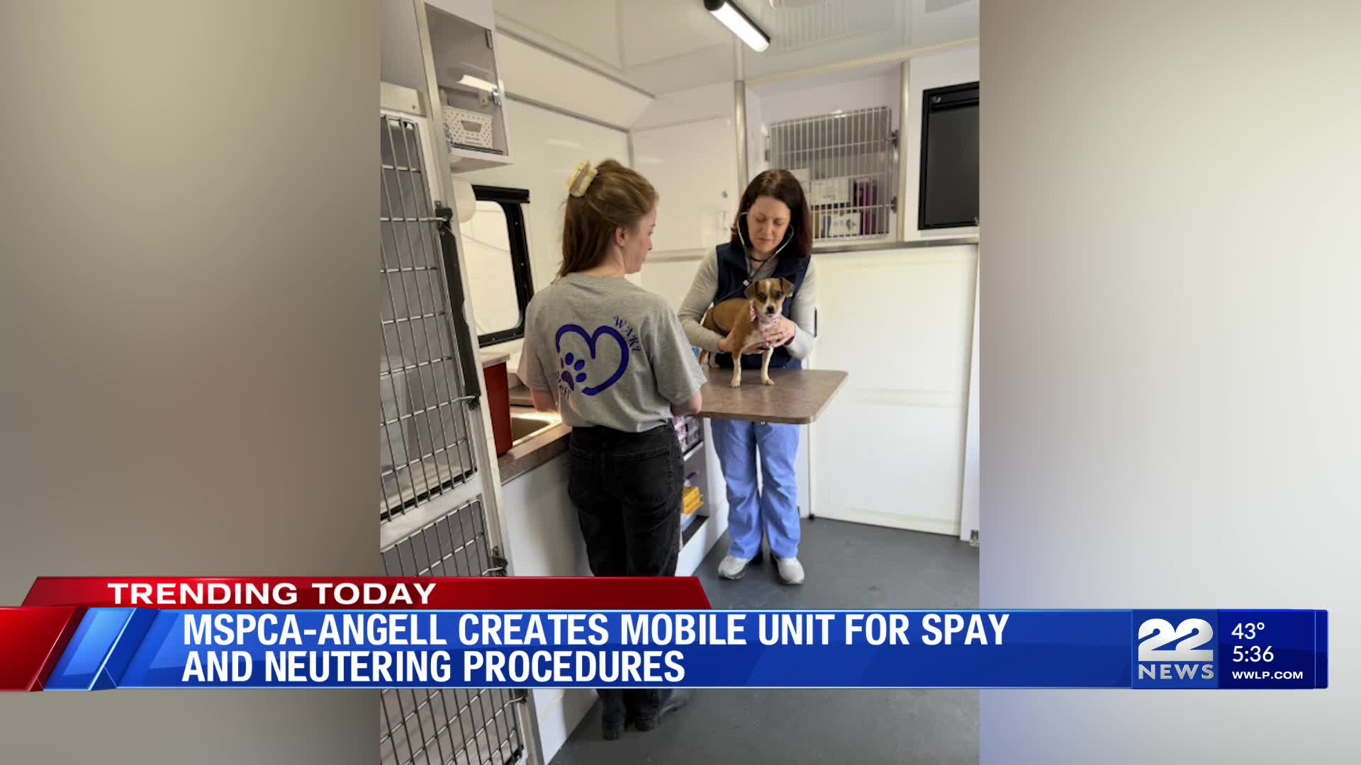 MSPCA-Angell launches mobile spay and neuter service