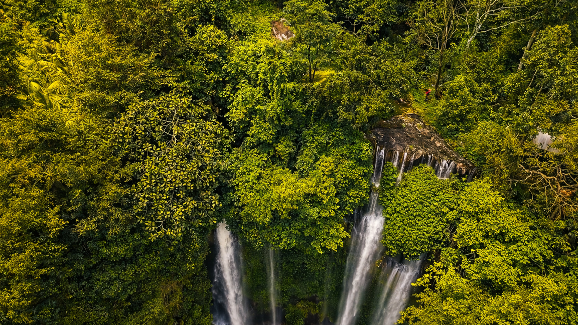 Hidden waterfall cascading through lush tropical forest