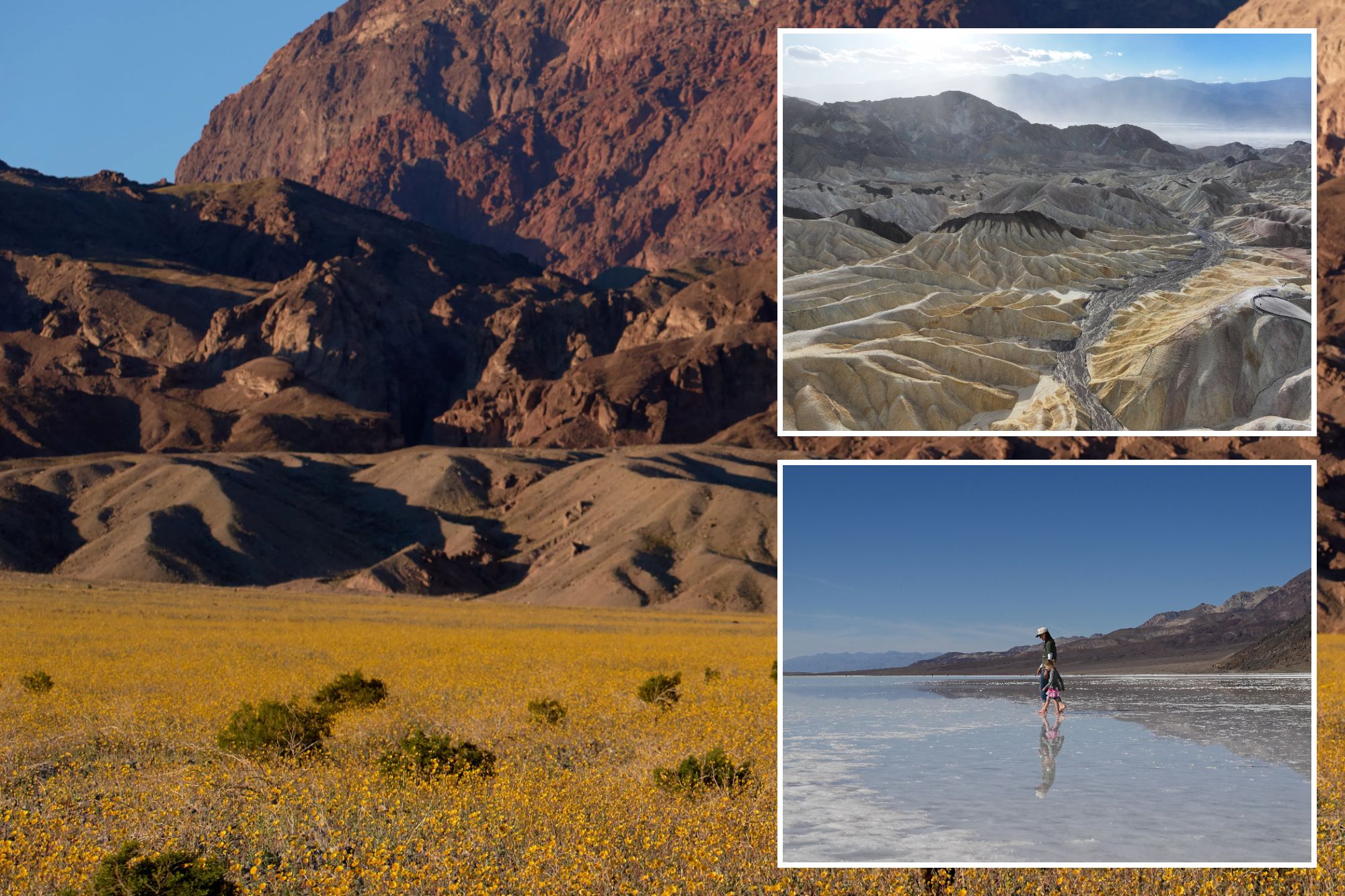 California Desert Giant Tops US Destinations List