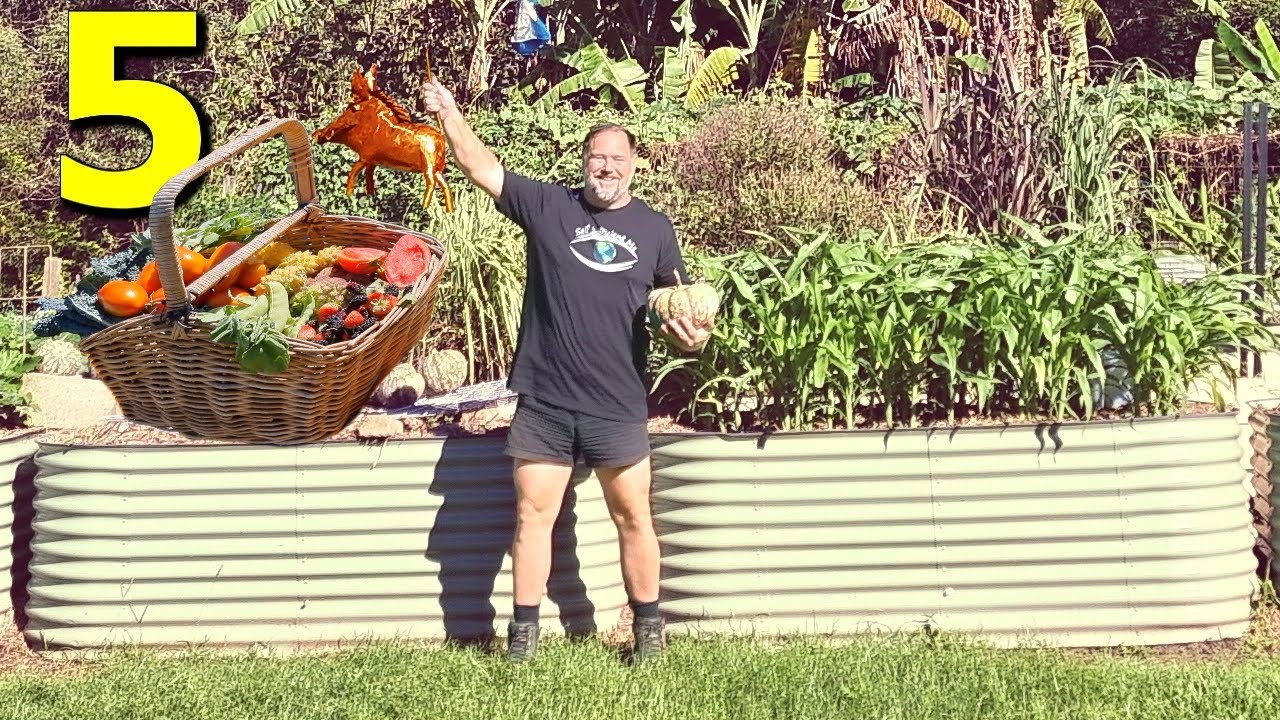 5 essential tips for beginner food gardeners | Grow your own with Self ...