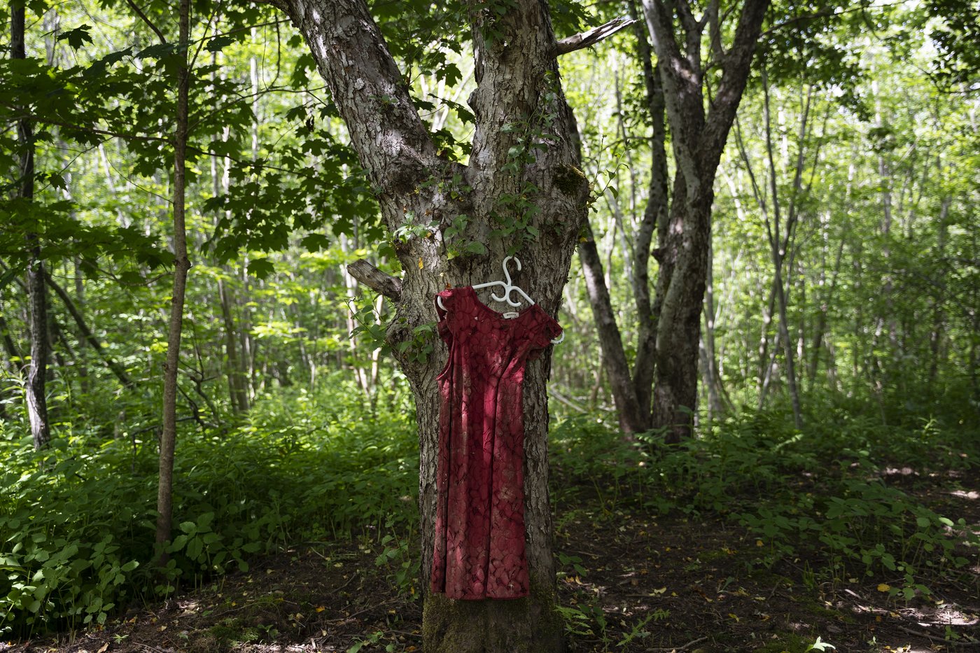 Des groupes de femmes autochtones réclament un financement pour des ...
