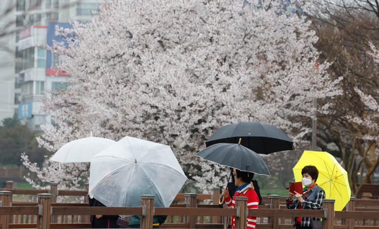 Summer-level rainfall forecast as heavy spring showers hit capital region
