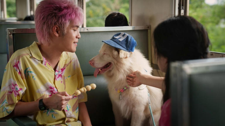 เปิดรายได้หนัง โกฮัง..หัวใจโกโฮม (2569) หนังไทยซึ้งๆ ของคนรักหมา ฟีลกู๊ดอบอุ่นใจ