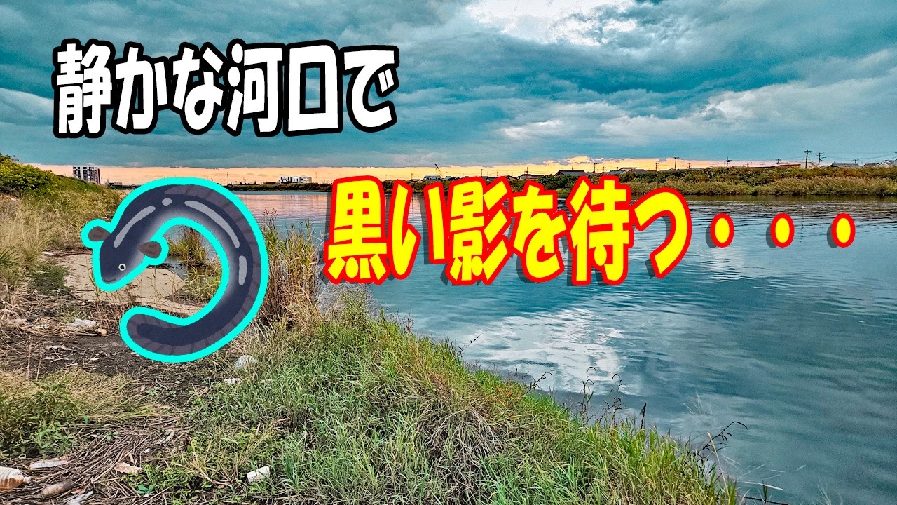 川の夜釣りで何が釣れる?