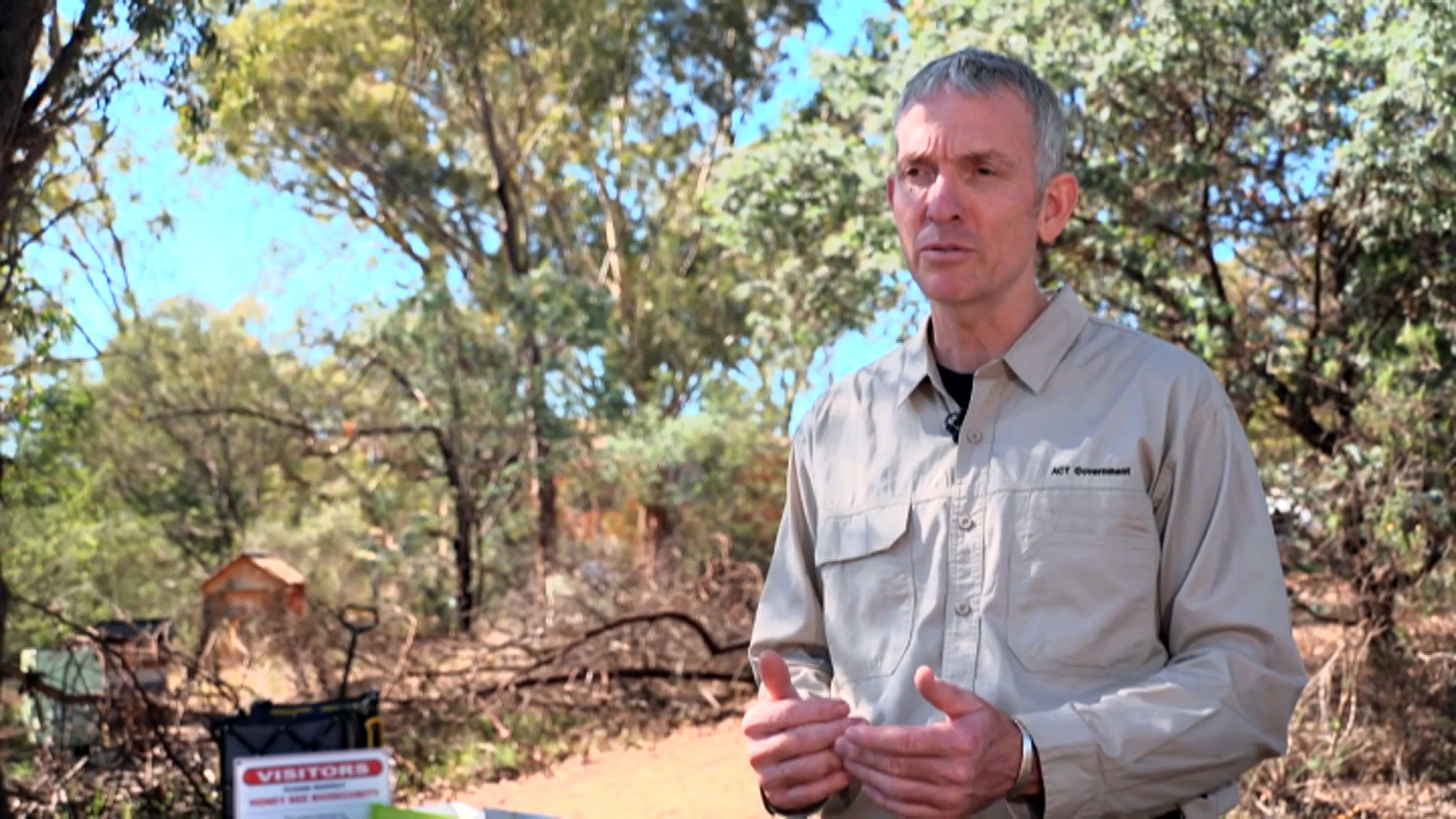 Hobby beekeepers urged to check for varroa mite as more than 1,000 ACT ...