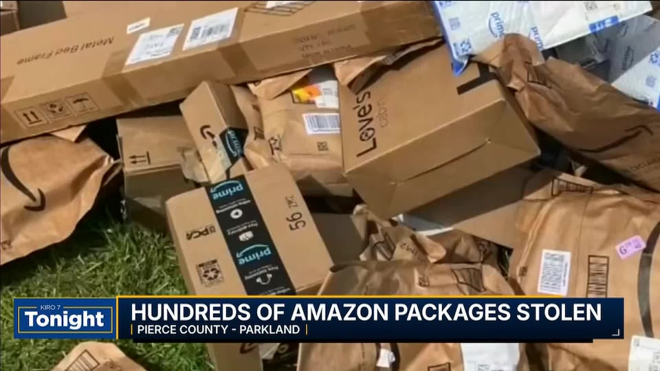 Video: Amazon packages stolen