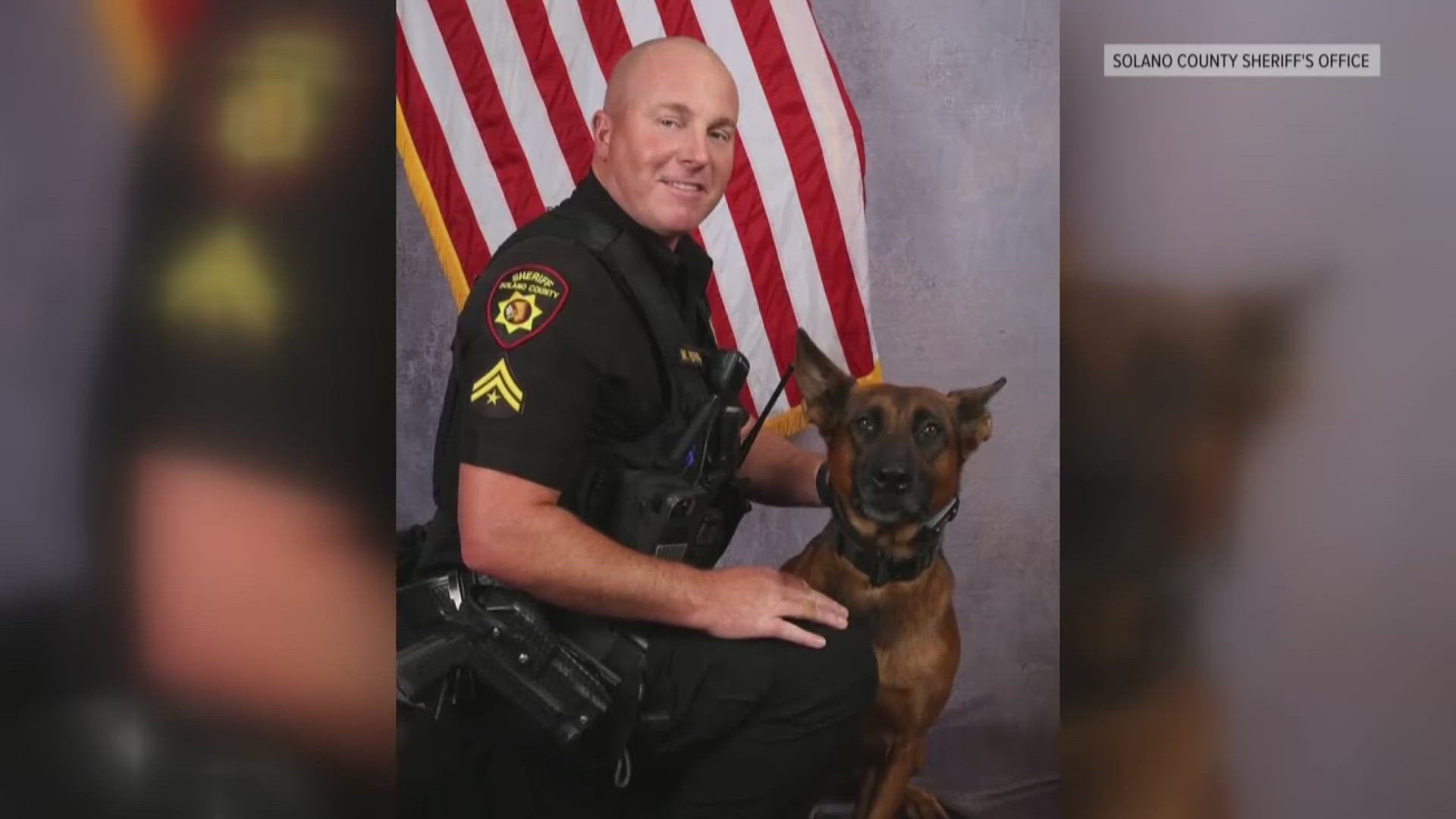 Solano County K-9 stabbed multiple times during arrest after I-80 chase