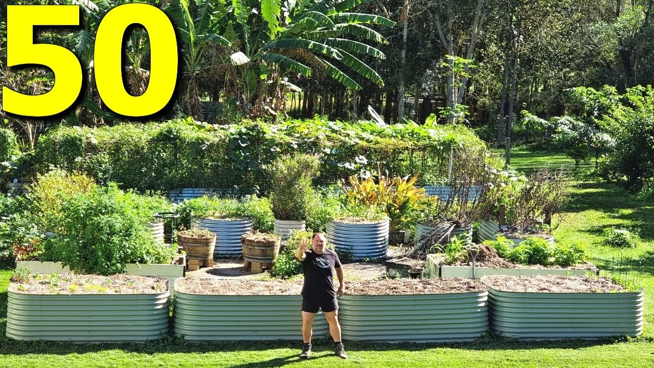 50 incredible edible plants growing now | Self Sufficient Me garden tour