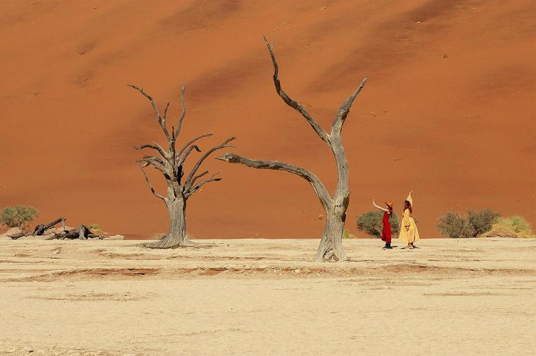 Zooming in on Gala camera club winners