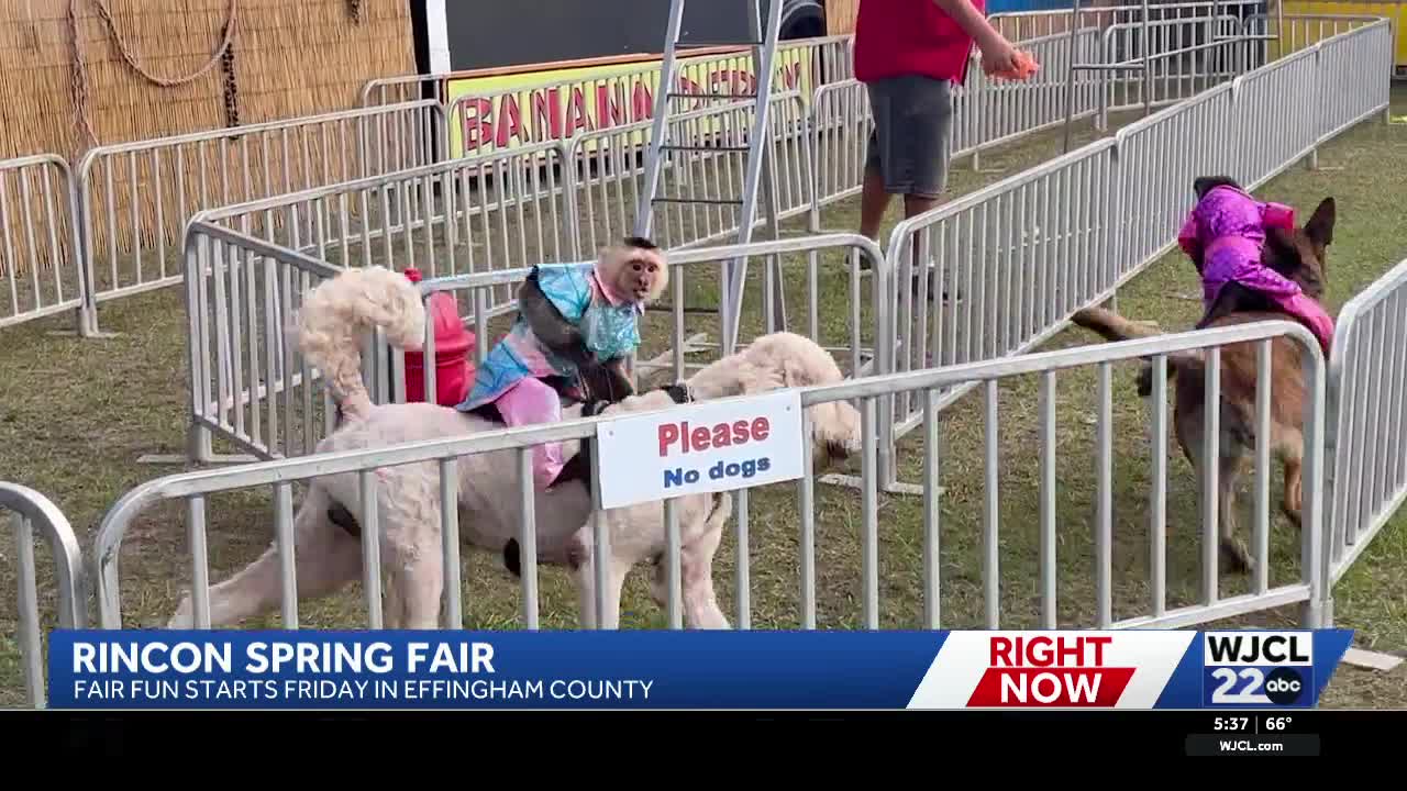 Rincon spring fair underway