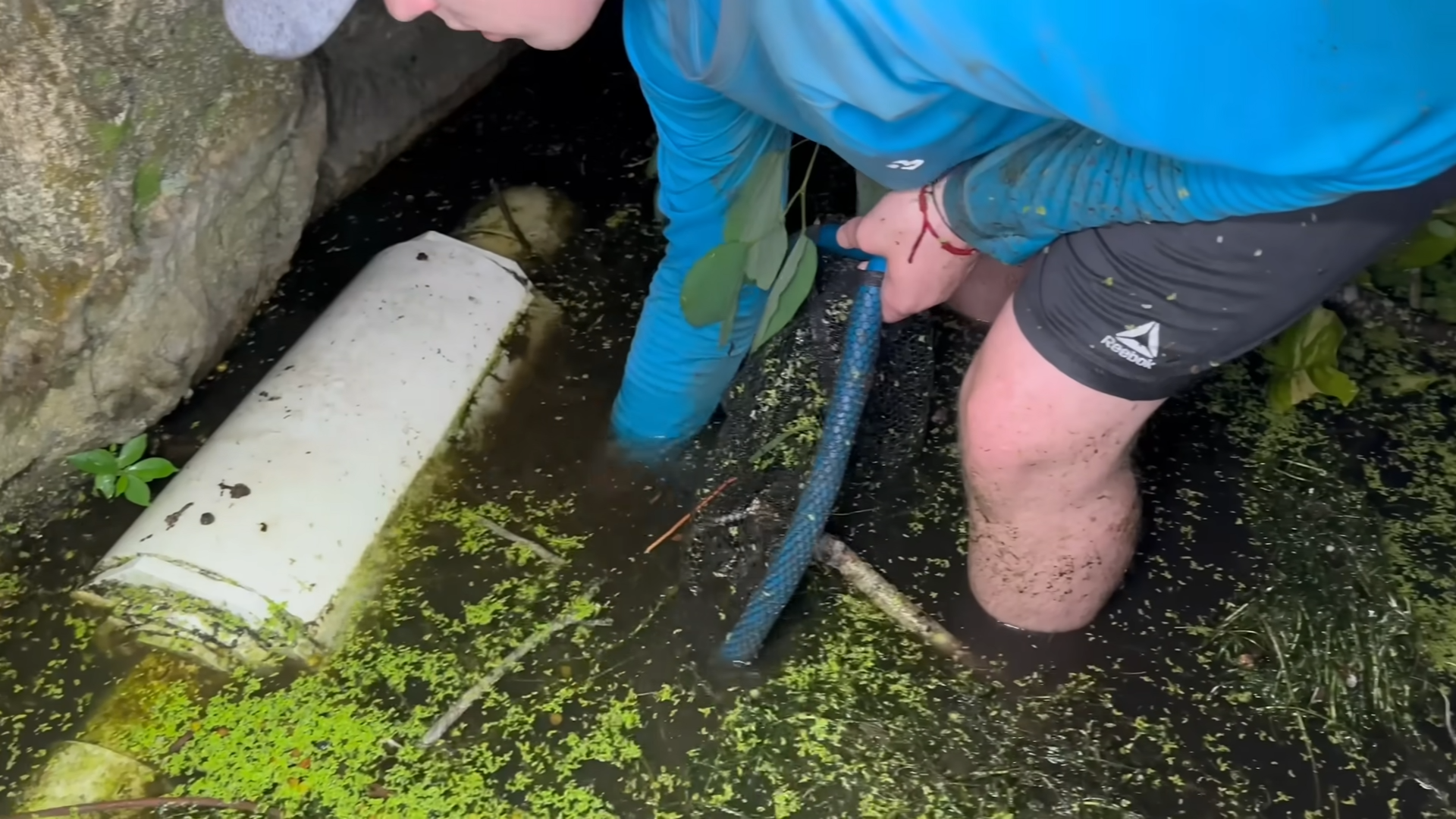 He stepped in the water then something touched him
