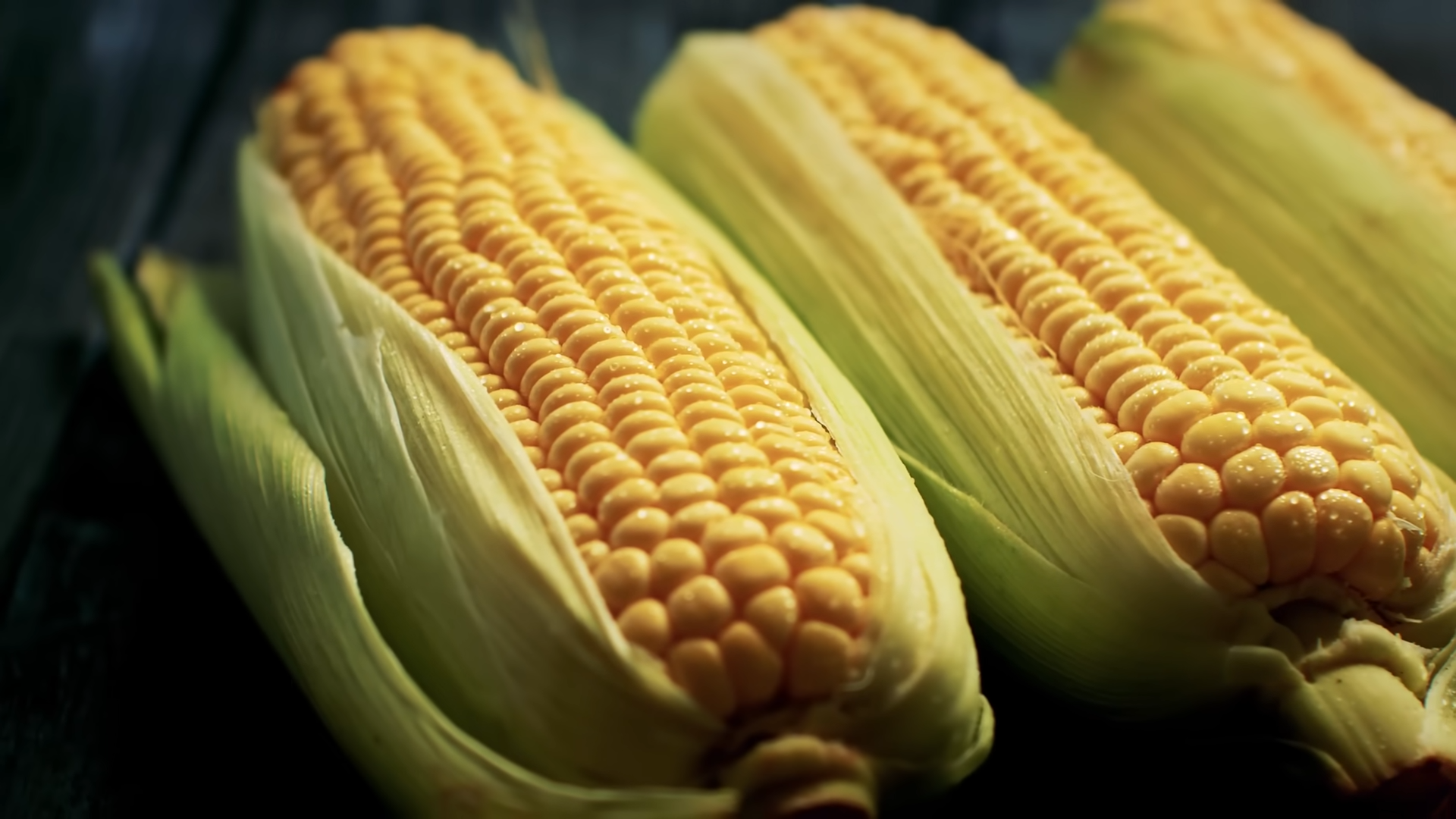 This video shows how vegetables shaped human civilization