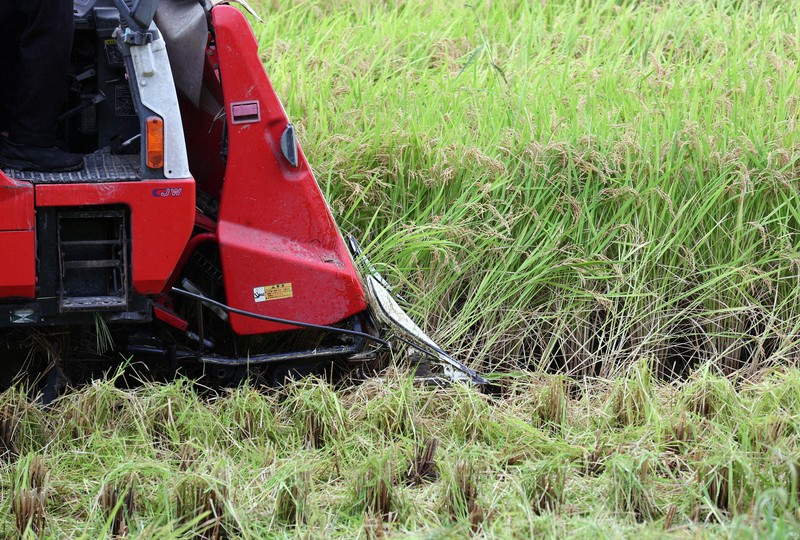 New indicator for rice production, distribution costs in Japan set at ...