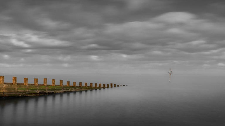 Zooming in on Gala camera club winners