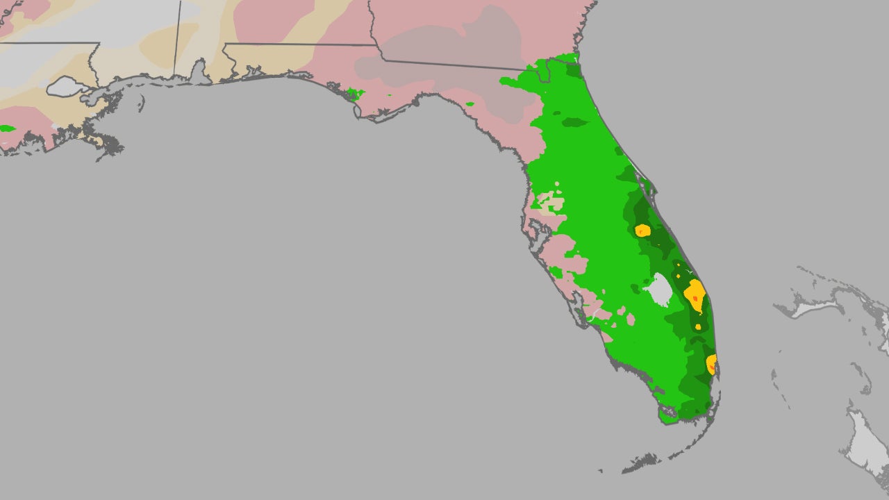 Florida will see more drought-relieving rain, but it could be too much ...