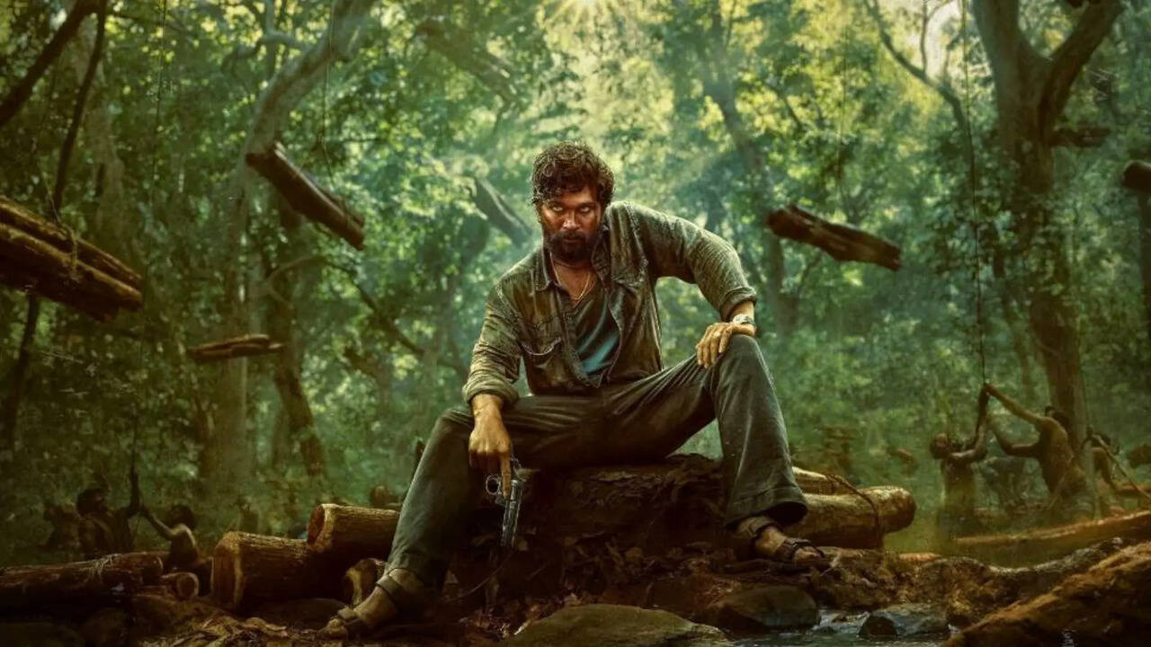 Allu Arjun and the Pushpa sensation: The journey of an icon star to ...