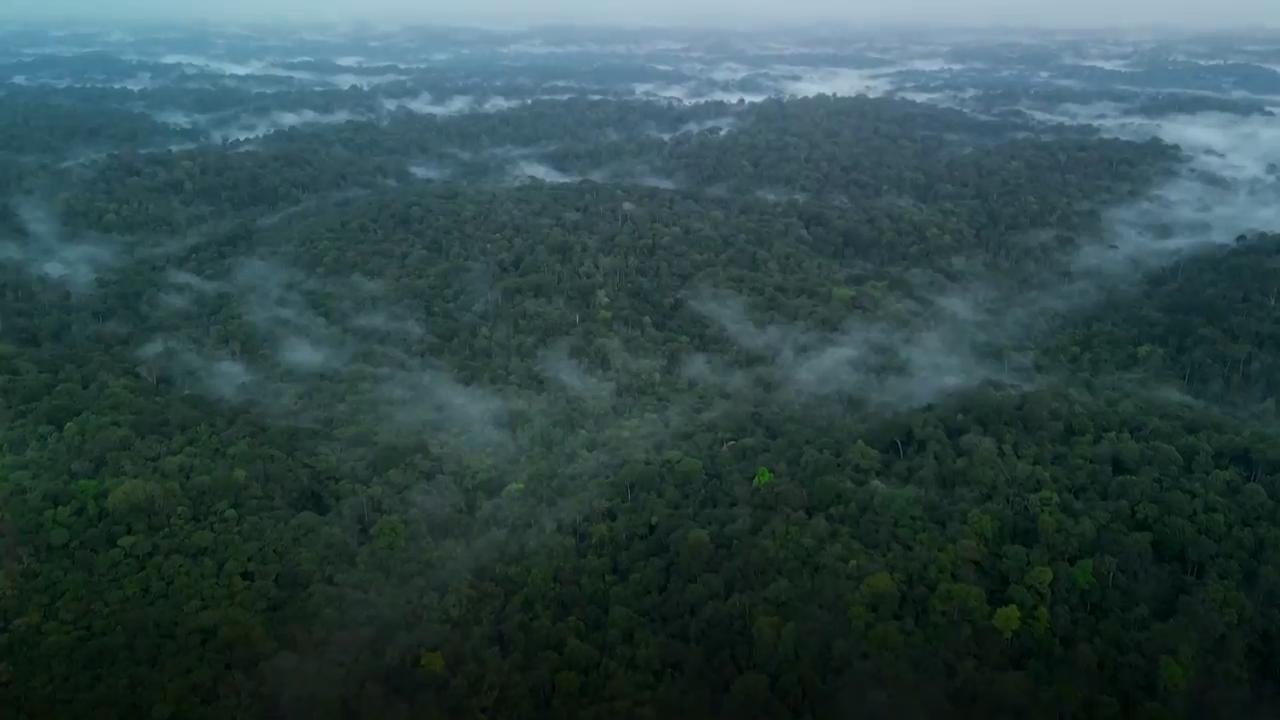 Oil drilling in Brazil's Amazon draws concern from Indigenous communities