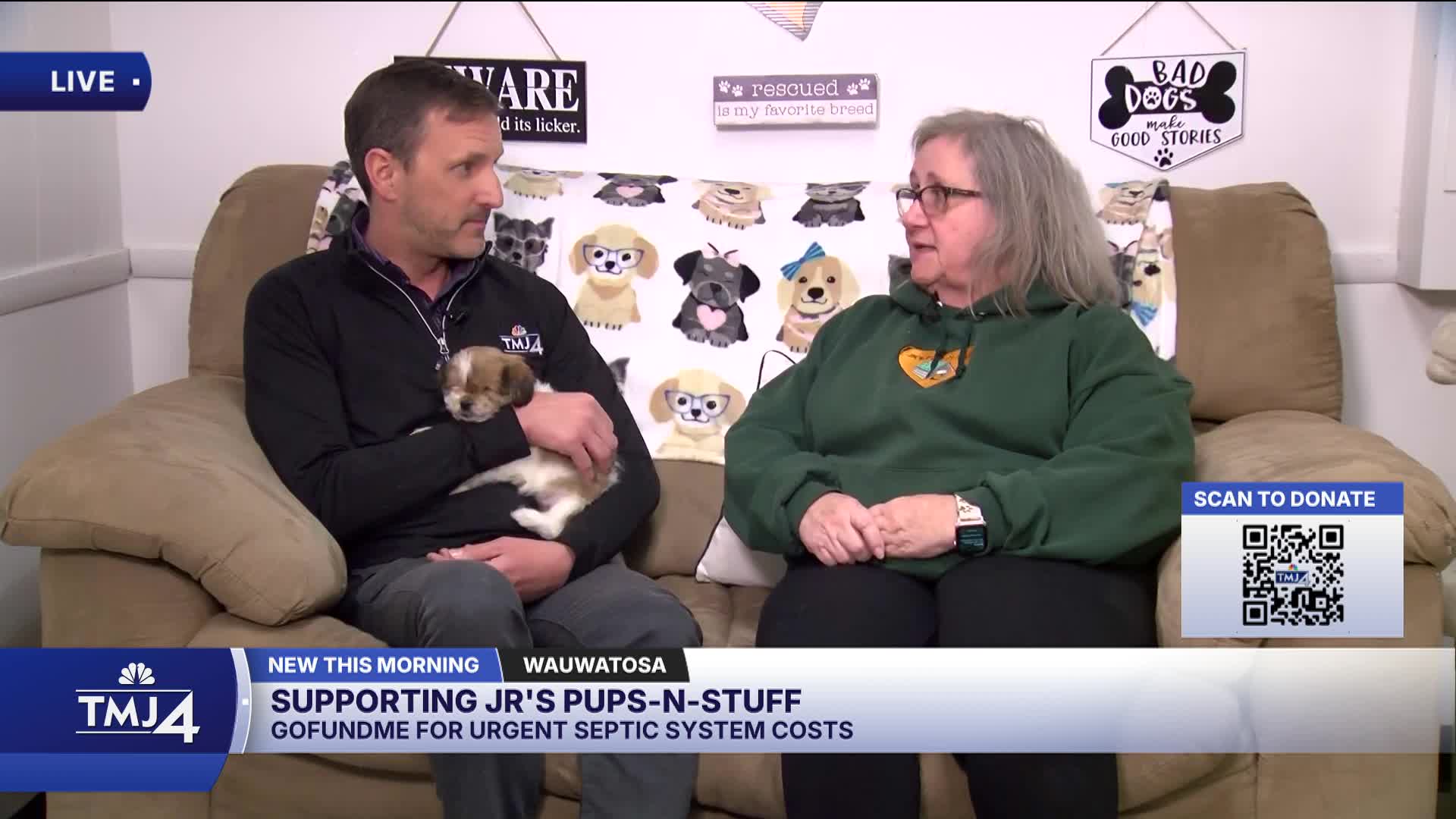 Wisconsin dog rescue saves animals from high-risk situations