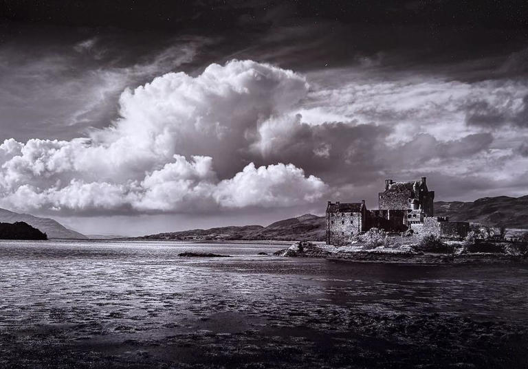 Zooming in on Gala camera club winners