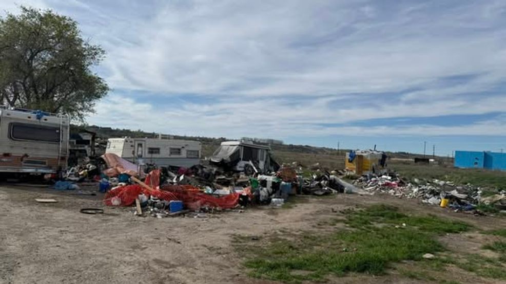 Rescue group urgently seeks help to save cats from Ontario encampment sweep