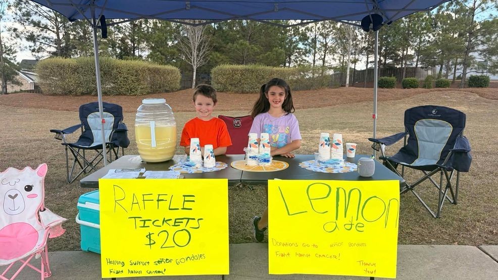 Lexington elementary student starts lemonade stand to help teacher ...
