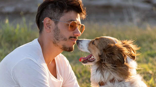 The subtle signs your pet is truly happy (most owners miss this)