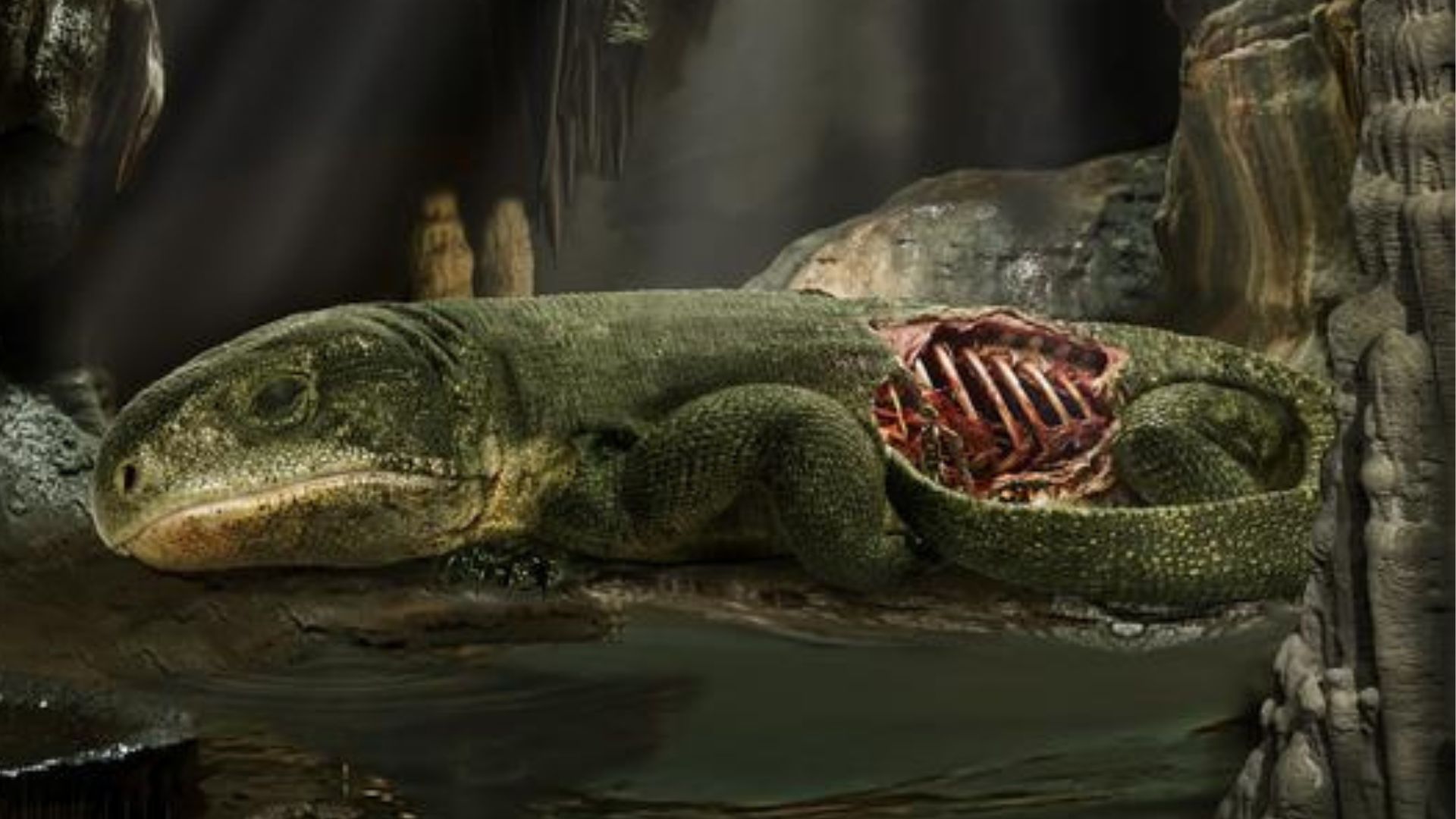 289-million-year-old mummy fossil presents earliest evidence of rib ...