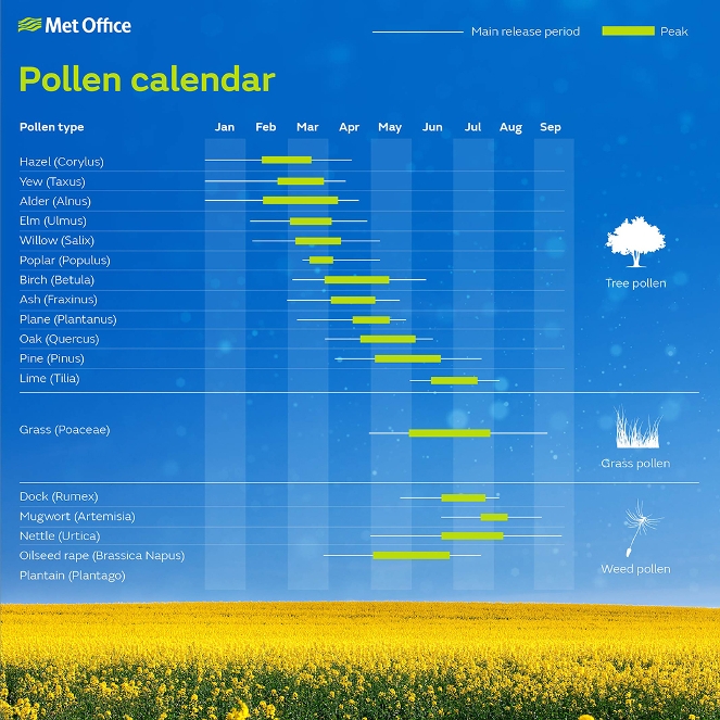 Why pollen levels are high this week, and looking ahead