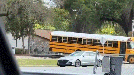 School bus driver arrested after narrowly escaping train by inches
