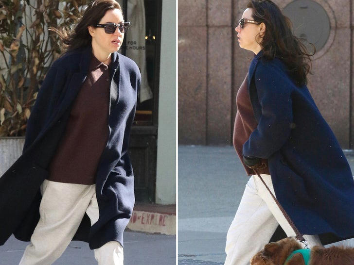 Aubrey Plaza flaunts baby bump for first time while out in NYC, pics ...