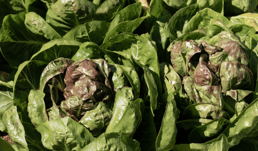 11 grocery items people slowly stop buying as life gets busier