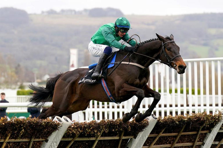 Aintree Grand National: Daily Star's racing expert Jason Heavey's ...