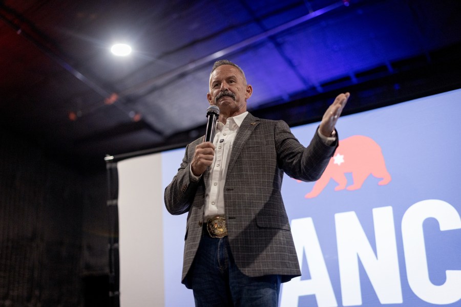 Bianco must pause ballot investigation, California Supreme Court rules