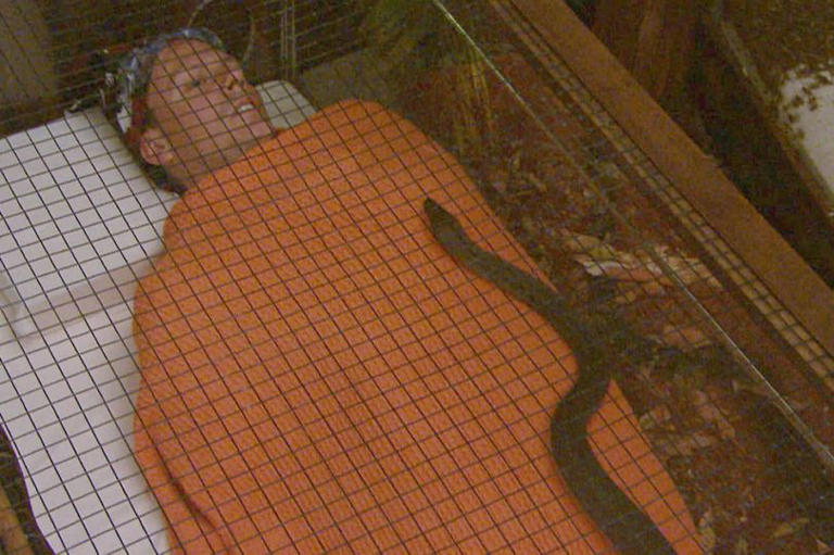 I M A Celeb Star Says Show Is Getting Easier But Would Jump At Doing