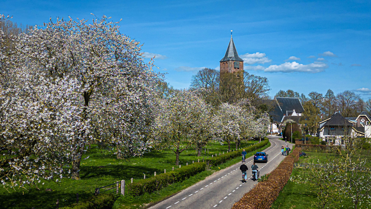 Eerste warme dag van 2026 is een feit: 20 graden in De Bilt
