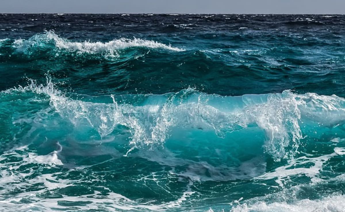 Trapped at sea, caught in war: 28-year-old Indian seafarer's ordeal in Iraq