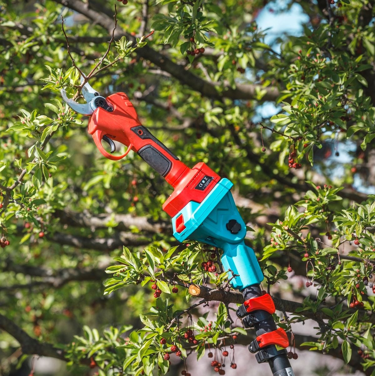 Tree pruning 101: Proper tools and easy techniques