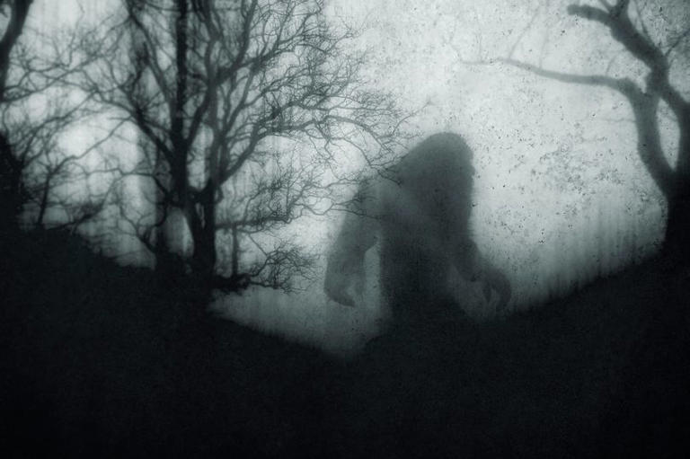 Spooky 'portal' opens in notorious haunted woods as ghost sightings rocket