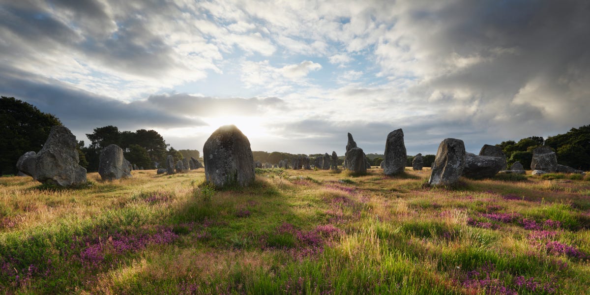 Scientists Solved a Vanishing Population Mystery