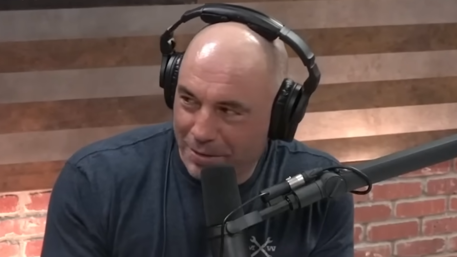 Joe Rogan mentioned Jeffrey Epstein - then his guest started dodging