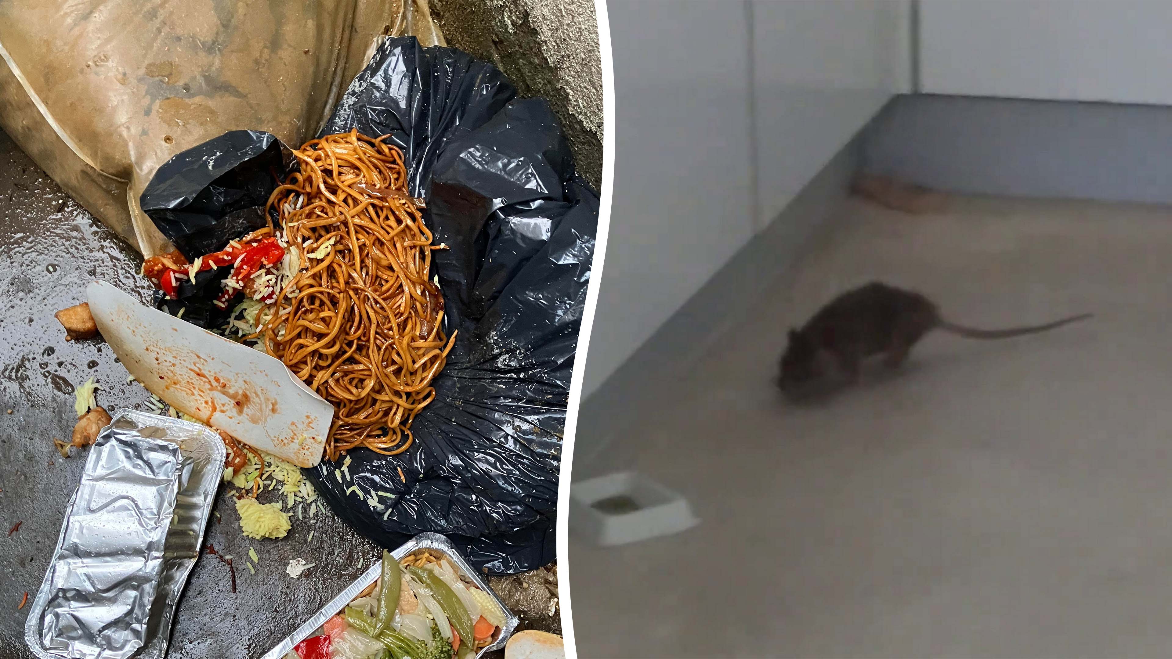 Food waste from London market attracting 'rats the size of cats'