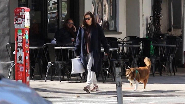 Aubrey Plaza flaunts baby bump for first time while out in NYC, pics ...