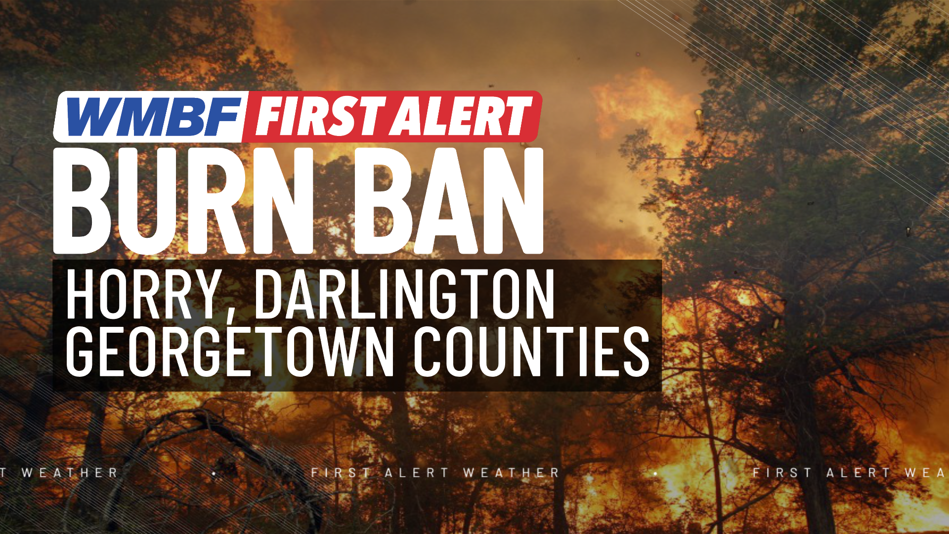 First alert Burn bans in place for Horry, Darlington, and