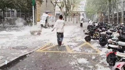 Cities in China are being covered by poplar fluff