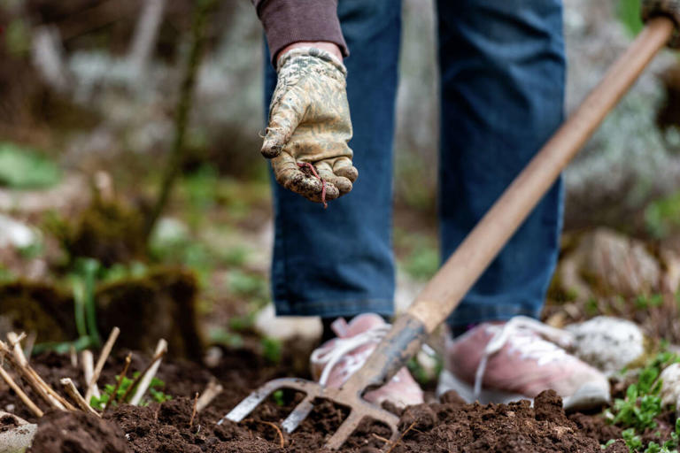 Want your plants to thrive? The secret could be in your soil