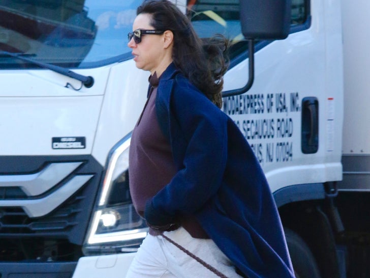 Aubrey Plaza flaunts baby bump for first time while out in NYC, pics ...