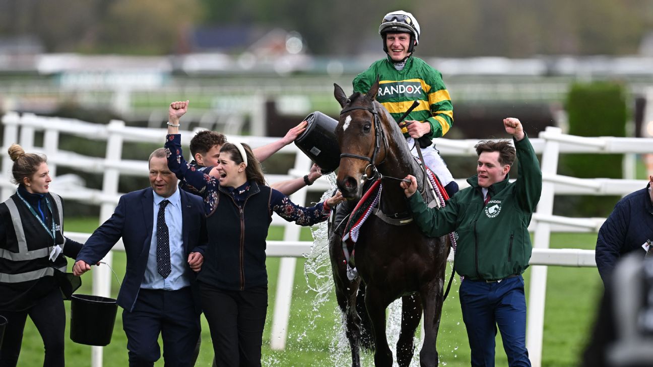 I am Maximus: Beginner's guide to 2026 Grand National favourite