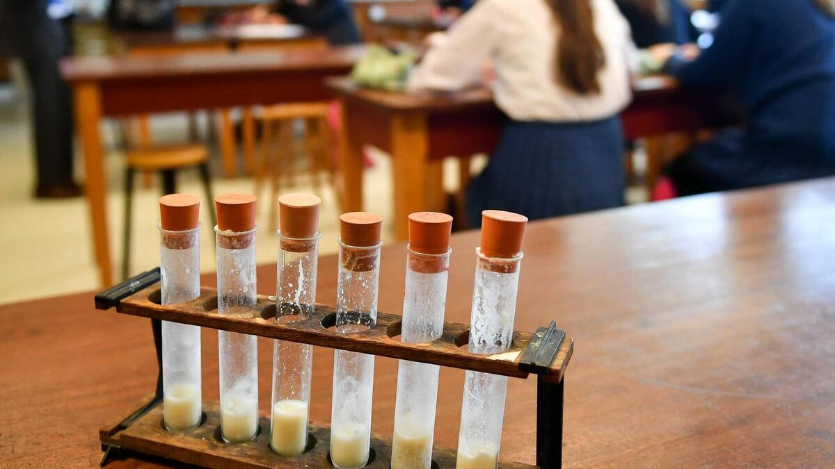ASTI calls for pause to Leaving Cert laboratory projects on health and ...