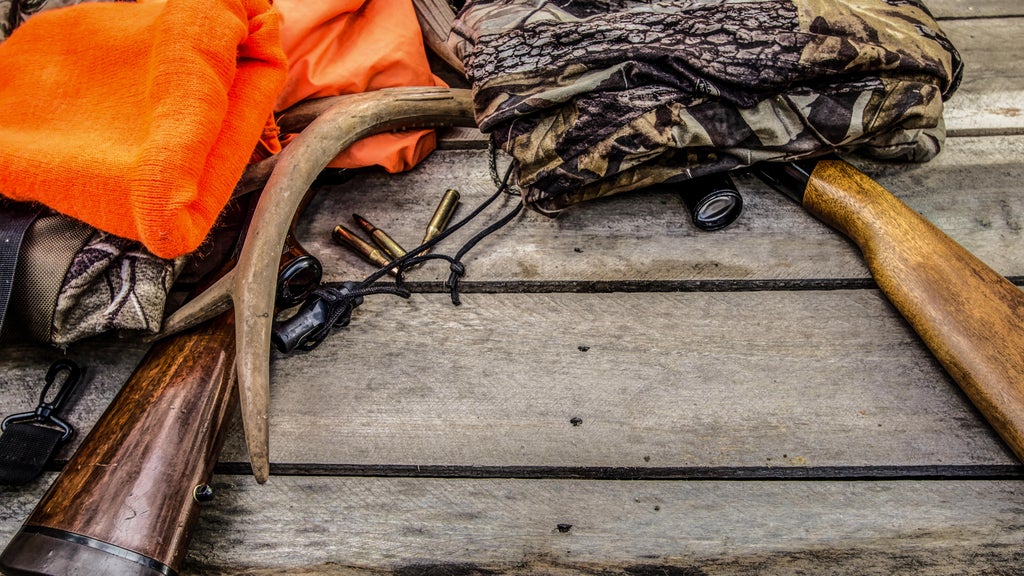 Michigan DNR proposes one buck rule for deer hunting limits